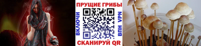 Галлюциногенные грибы Cubensis  Купить  Когалым 